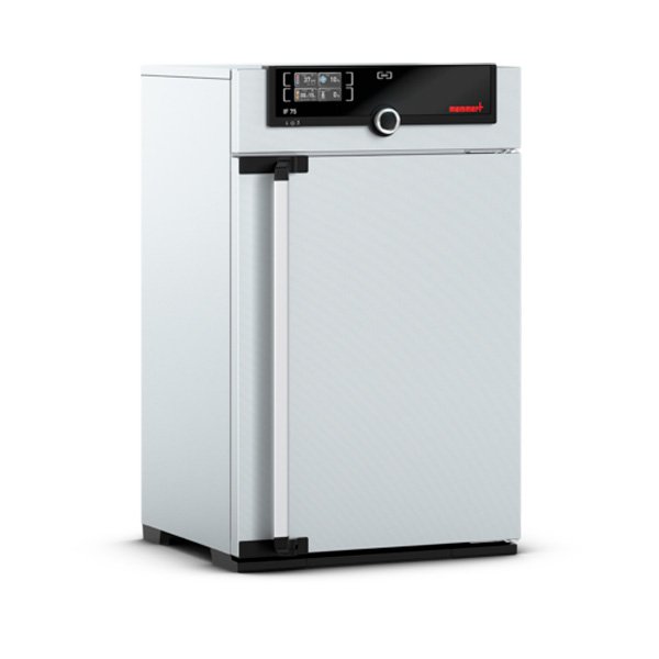 INCUBADORA , REF: IF 75 SINGLE DISPLAY