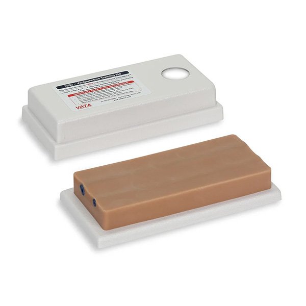 MODELO DE DOS VENAS DE AYUDA EN ENTRENAMIENTO PARA VENOPUNCION