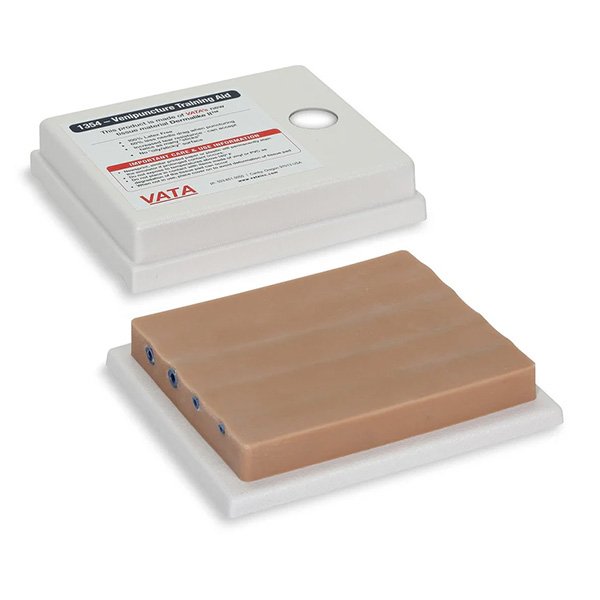 MODELO DE CUATRO VENAS DE AYUDA EN ENTRENAMIENTO PARA VENOPUNCION