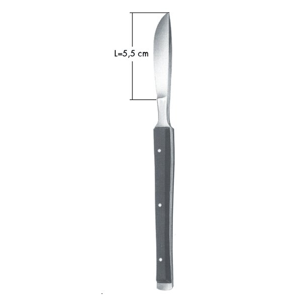 CUCHILLA REPUESTO PARA DERMATOMO,